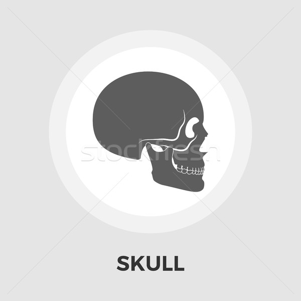 Anotomy skull flat icon Stock photo © smoki
