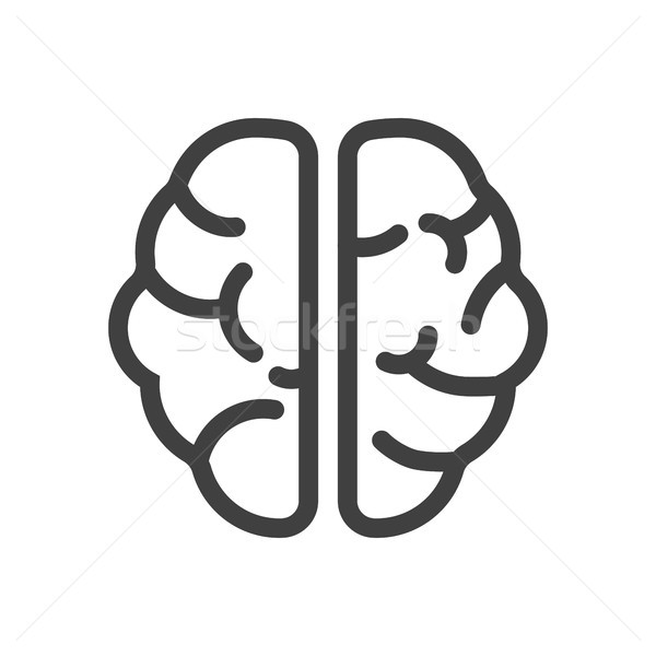Creier icoană creierul uman vector subtire linie Imagine de stoc © smoki