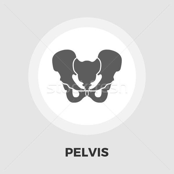 Pelvis icon flat Stock photo © smoki