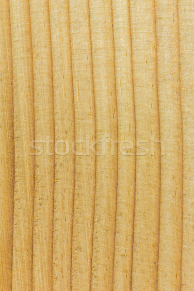 Sosny struktura drewna piękna tekstury ściany Zdjęcia stock © smuay