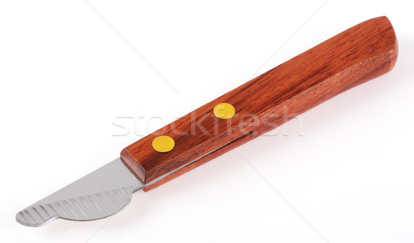 Chestnut peeler knife Stock photo © smuay