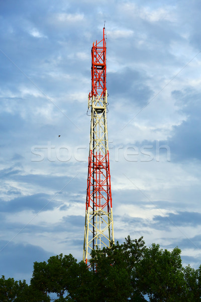 Antenna kék felhős égbolt üzlet internet Stock fotó © smuay