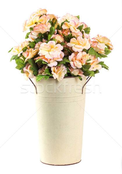 Bouquet of Jasmine flower Stock photo © smuay