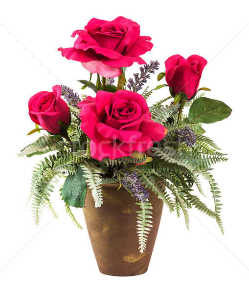 Bouquet roses pot isolé blanche [[stock_photo]] © smuay