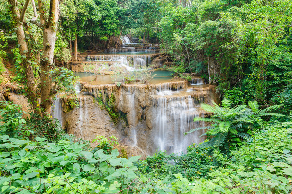 Vízesés park western Thaiföld víz fa Stock fotó © smuay