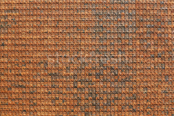 Earthenware wall tiles Stock photo © smuay