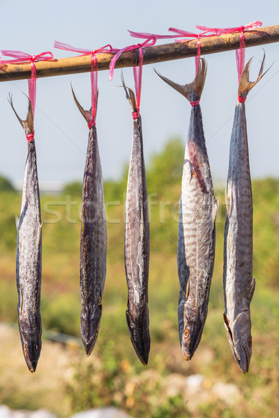 Sózott spanyol makréla égbolt textúra hal Stock fotó © smuay