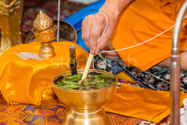 Monnik heilig water thai ceremonie blad Stockfoto © smuay