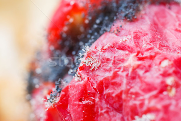 Penész gomba növekvő közelkép rohadt borostyán Stock fotó © smuay