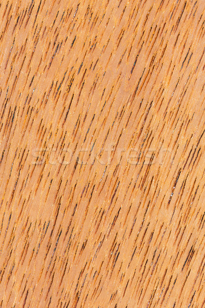 Struktura drewna brązowy kolor tekstury ściany Zdjęcia stock © smuay