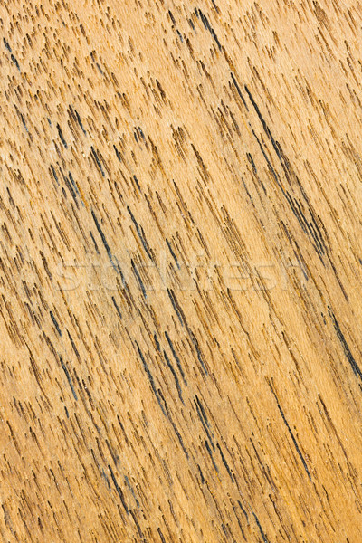 Teak wood texture Stock photo © smuay