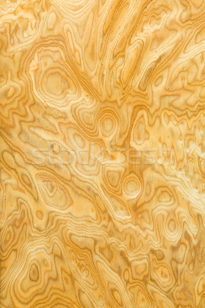 Effettivo venatura del legno texture muro natura Foto d'archivio © smuay
