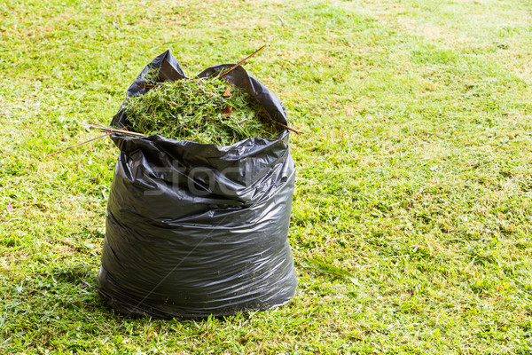 商业照片: 草· 垃圾 ·袋· 绿草 · 黑色 · 颜色