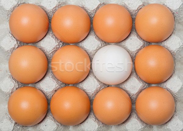 Canard oeuf poulet oeufs papier plateau [[stock_photo]] © smuay