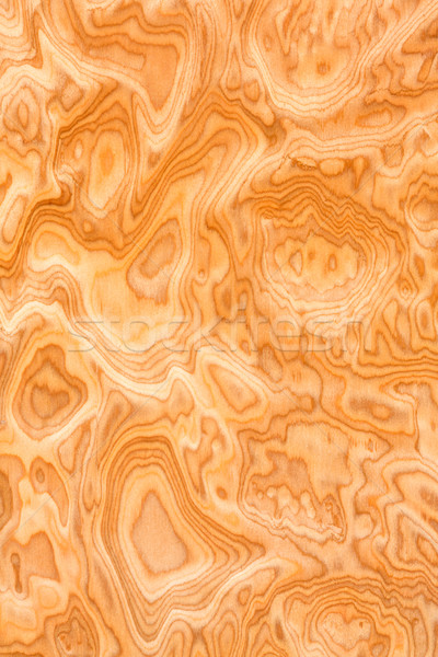 Effettivo venatura del legno texture muro natura Foto d'archivio © smuay