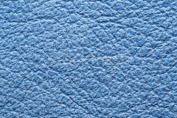 Bleu cuir vie taille véritable [[stock_photo]] © smuay