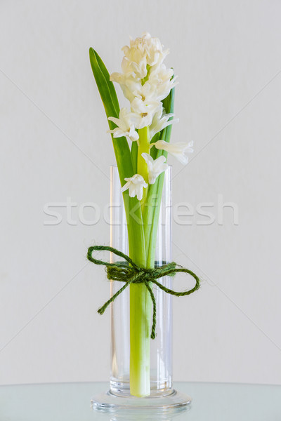 çiçek yeşil renk cam vazo Stok fotoğraf © smuay