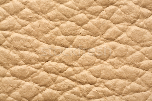Genuíno couro vida tamanho textura Foto stock © smuay