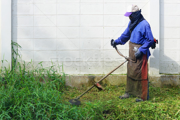 Munkás gaz kerítés fű férfi munka Stock fotó © smuay