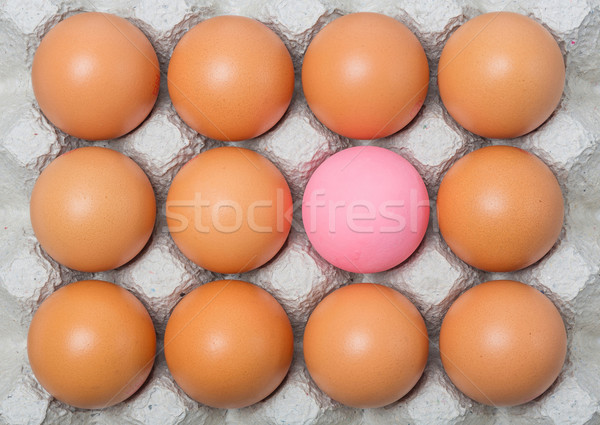 Oeuf poulet oeufs papier plateau ferme [[stock_photo]] © smuay