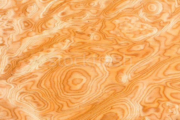 Real vetas de la madera textura pared naturaleza Foto stock © smuay