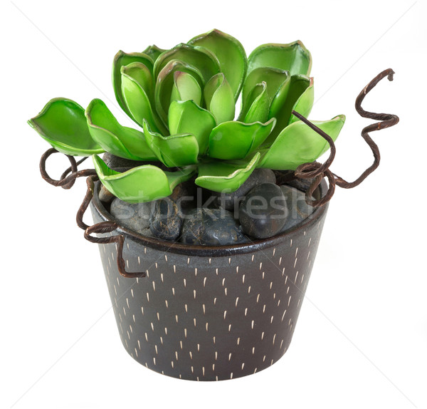 Flaming Katy in ceramic pot - Artificial Plant Stock photo © smuay