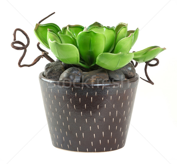 Ognisty ceramiczne puli sztuczny roślin Zdjęcia stock © smuay