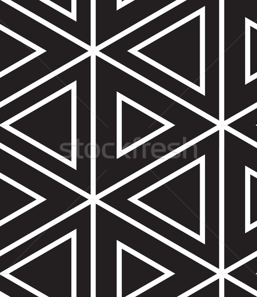 Vektor modernen linear geometrischen Textur Stock foto © softulka