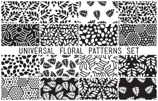 Universal floral seamless patterns set Stock photo © softulka