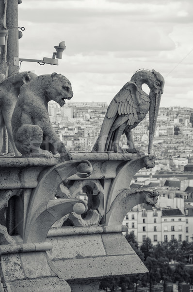 Vue Cathédrale Notre-Dame Paris cathédrale dame ville [[stock_photo]] © sognolucido