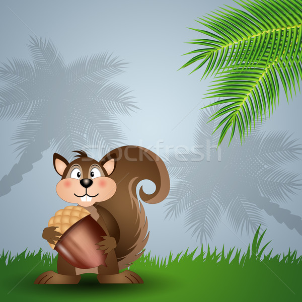 Funny squirrel with acorn Stock photo © sognolucido