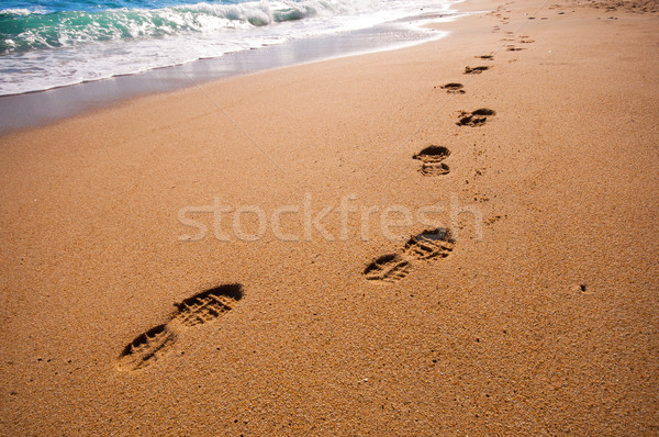 footsteps on the beach Stock photo © sognolucido