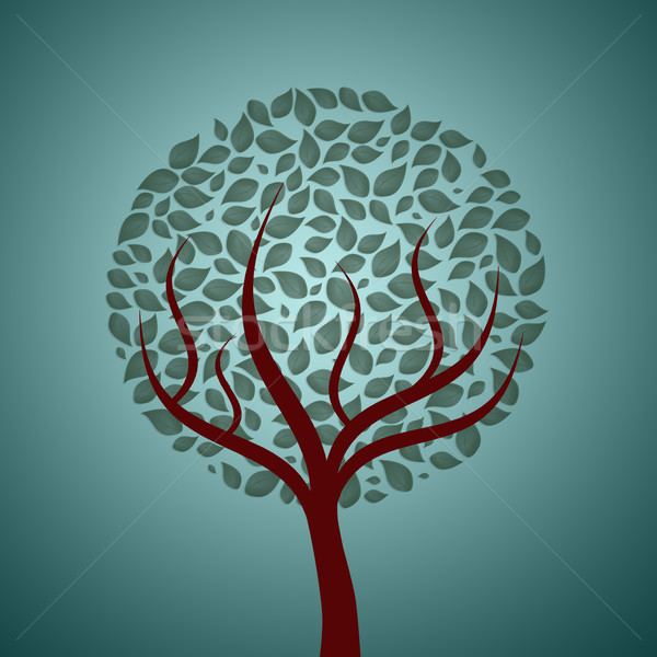 Plant with leaves  Stock photo © sognolucido