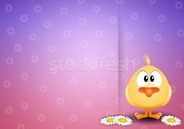 Stock fotó: Vicces · csirke · százszorszépek · illusztráció · húsvét · tavasz