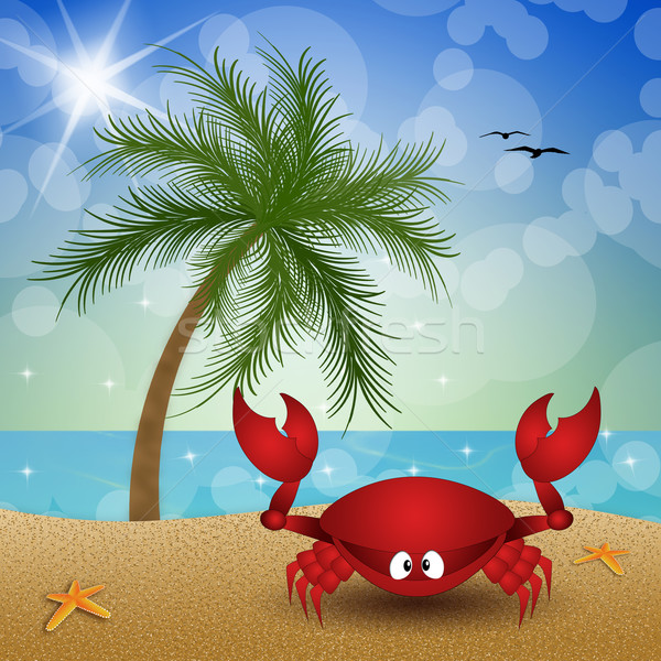 Funny crab on the beach  Stock photo © sognolucido