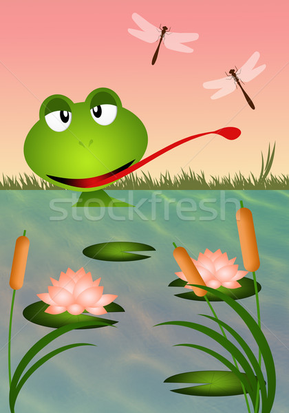 Frog in the pond Stock photo © sognolucido