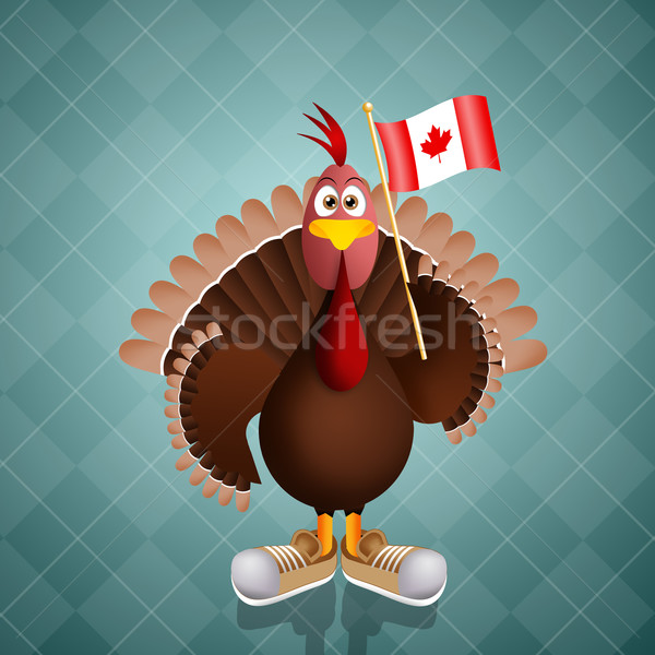 Foto stock: Turquia · bandeira · Canadá · ação · de · graças · dia · engraçado