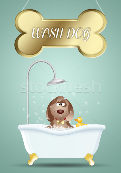 Dog in bath for grooming Stock photo © sognolucido