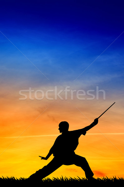 Shaolin pose at sunset Stock photo © sognolucido