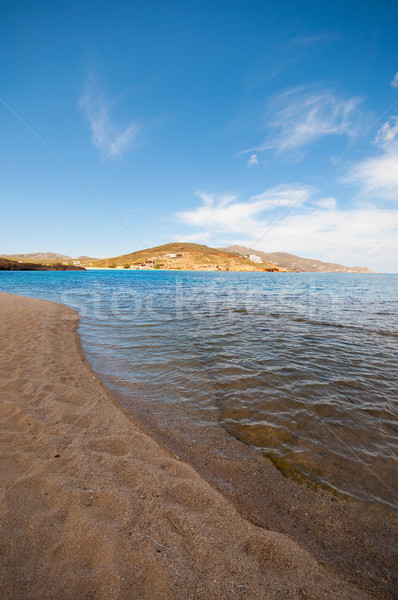 Ftelia beach in Mykonos Stock photo © sognolucido