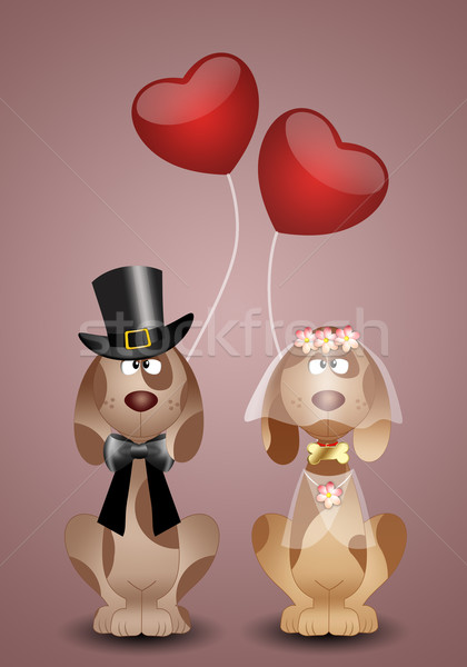 Cuplu câine nuntă dragoste călători câini Imagine de stoc © sognolucido