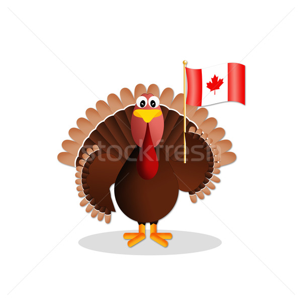 Turkey with Canadian flag Stock photo © sognolucido