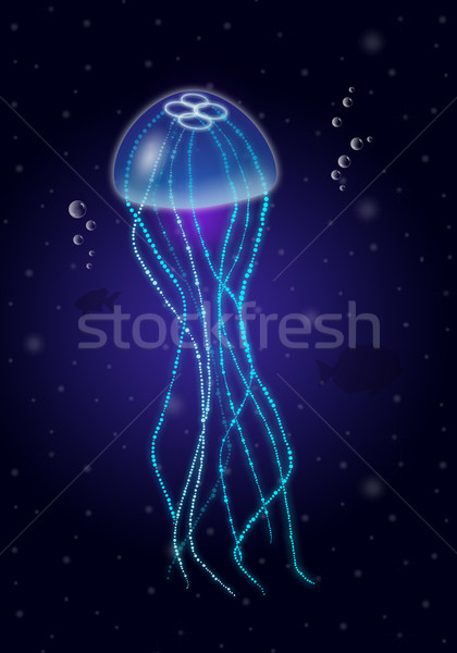 Qualle Meer Illustration blau marine Stock foto © sognolucido