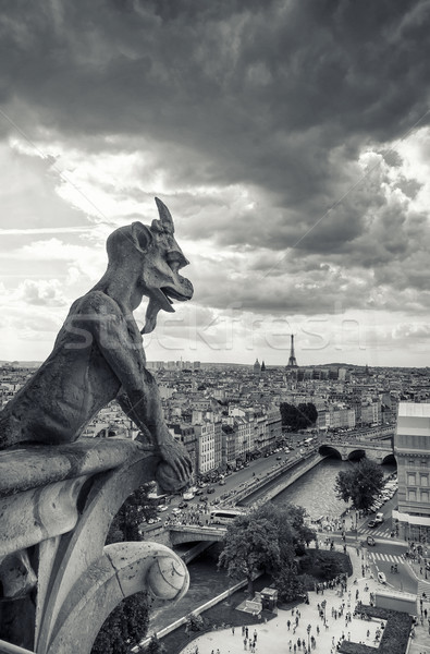 Vue Cathédrale Notre-Dame Paris cathédrale dame ville [[stock_photo]] © sognolucido