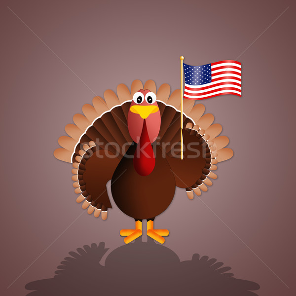 Törökország amerikai zászló illusztráció zászló Amerika hálaadás Stock fotó © sognolucido