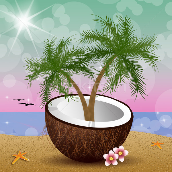 Coconut with palms on the beach Stock photo © sognolucido