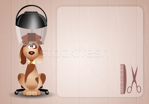 Stockfoto: Hond · kapper · helm · weinig · honden · dieren