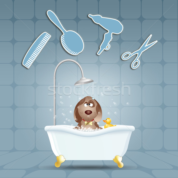 Dog in bath for grooming Stock photo © sognolucido