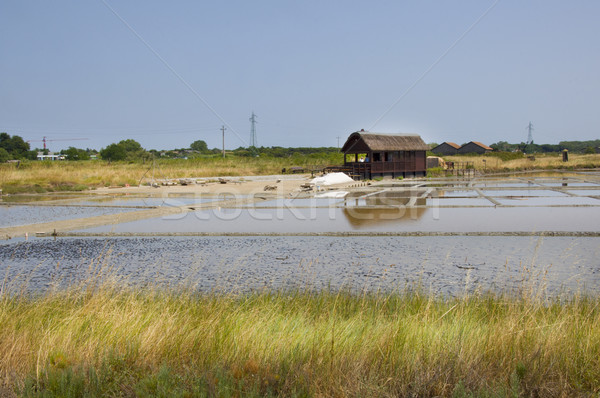 salt of Cervia in Italy Stock photo © sognolucido