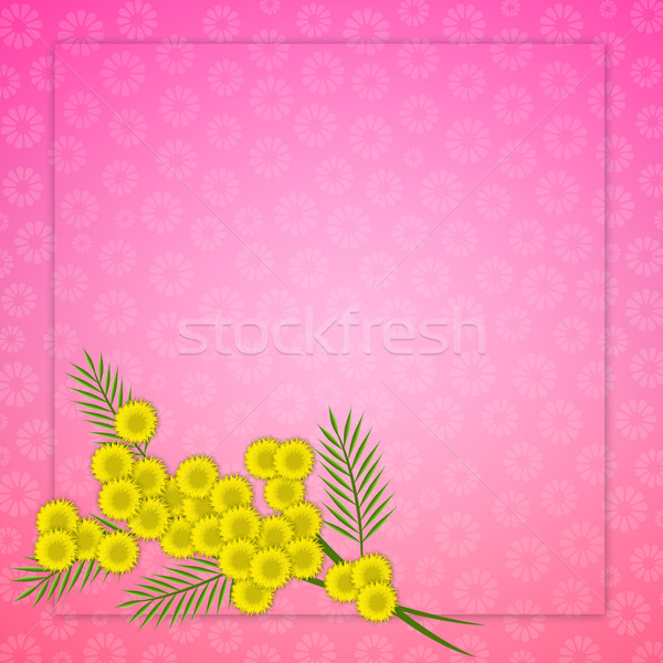 mimosas for Women's Day Stock photo © sognolucido